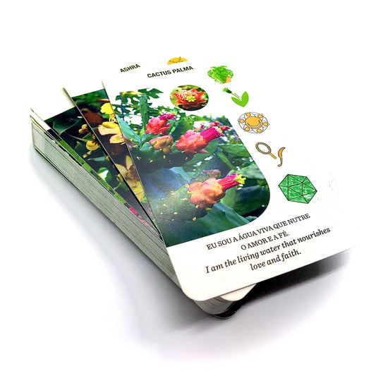 Florais Study Cards Deck