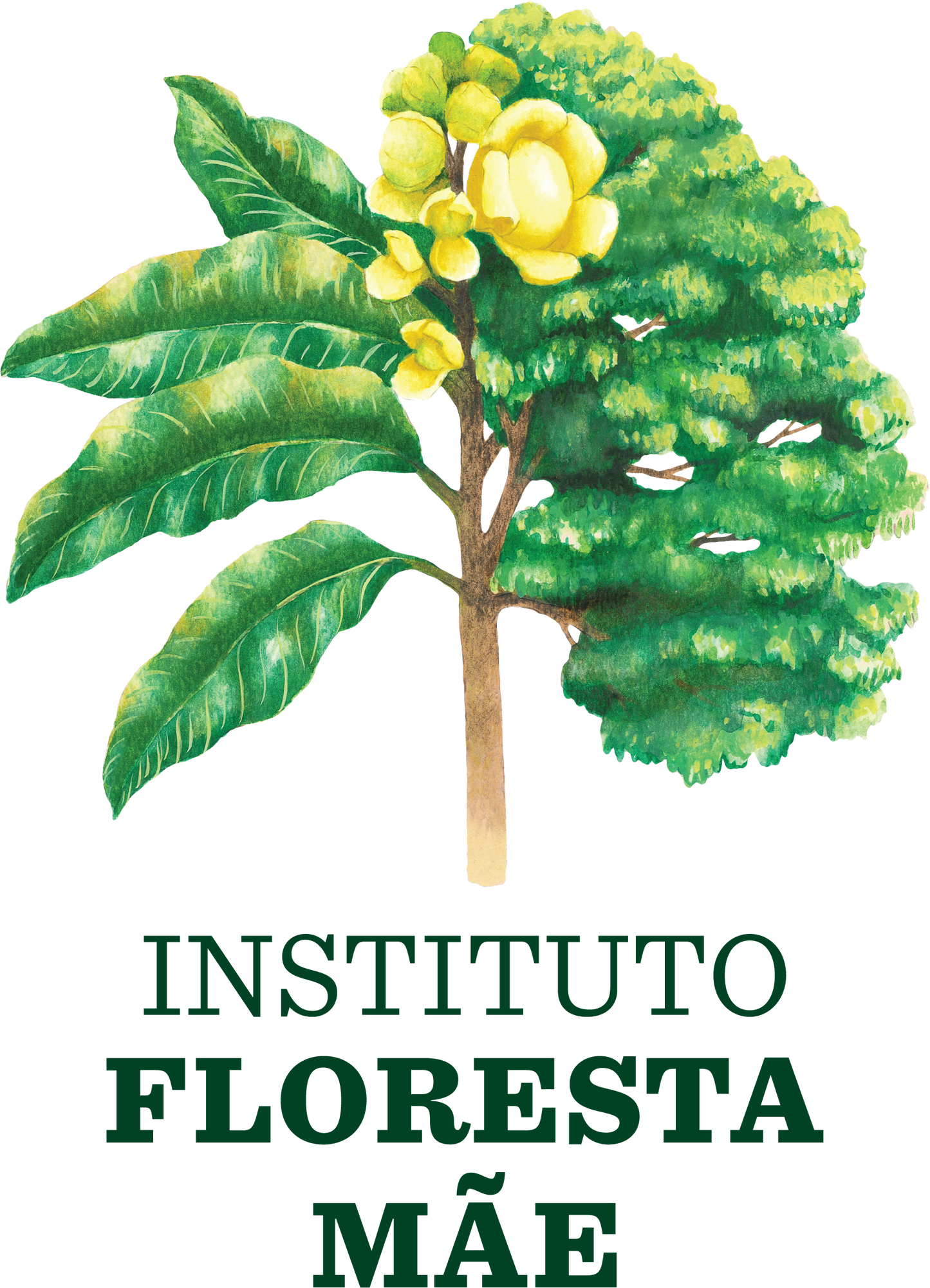 amazonian-flower-essences.myshopify.com image