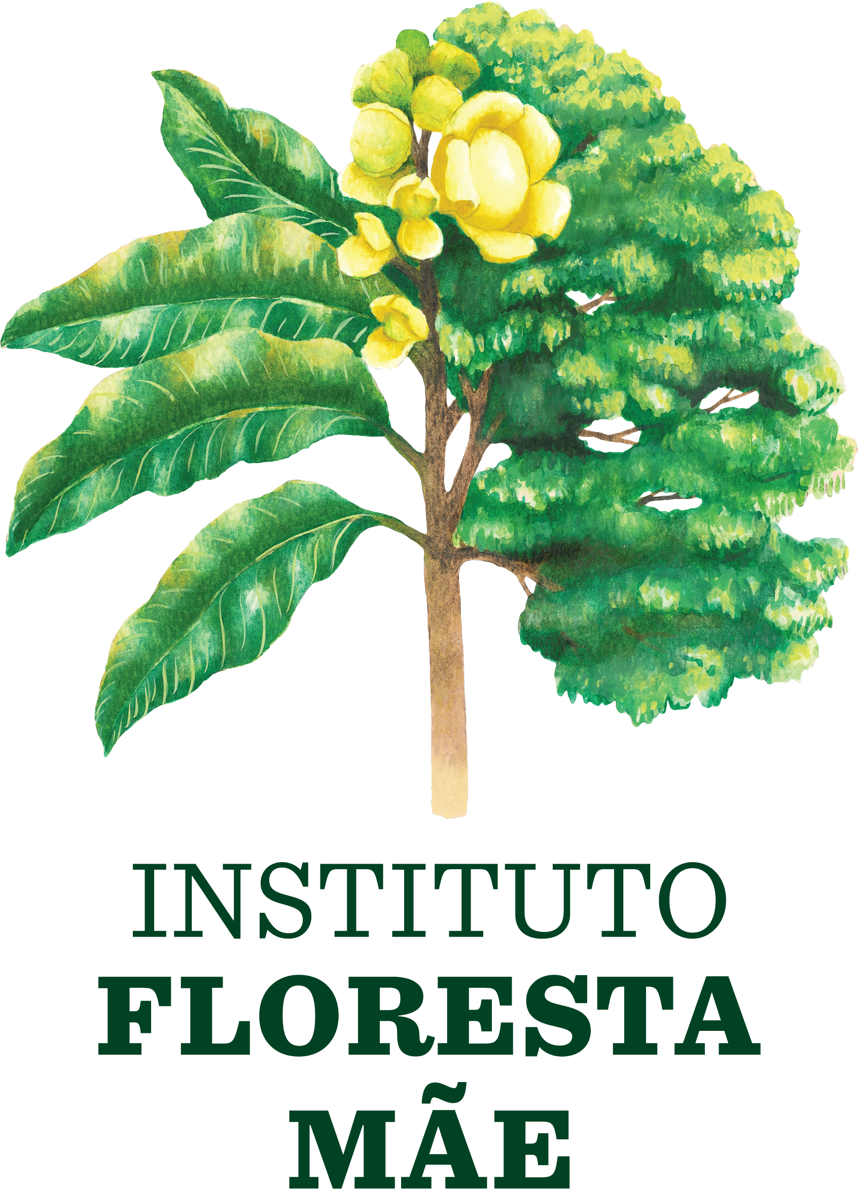 amazonian-flower-essences.myshopify.com image